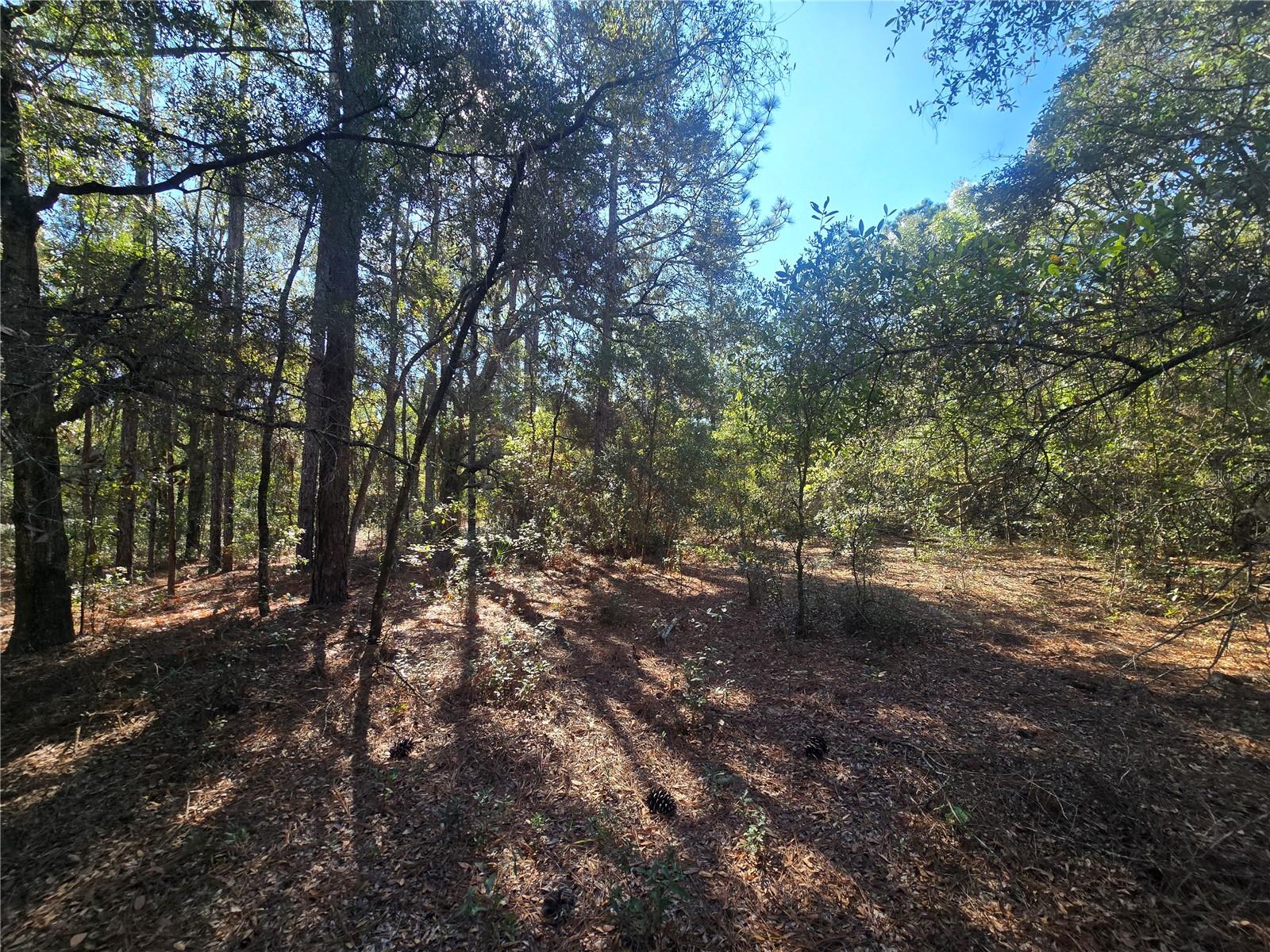 Image 7 of 9 For 11370 Ortega Point