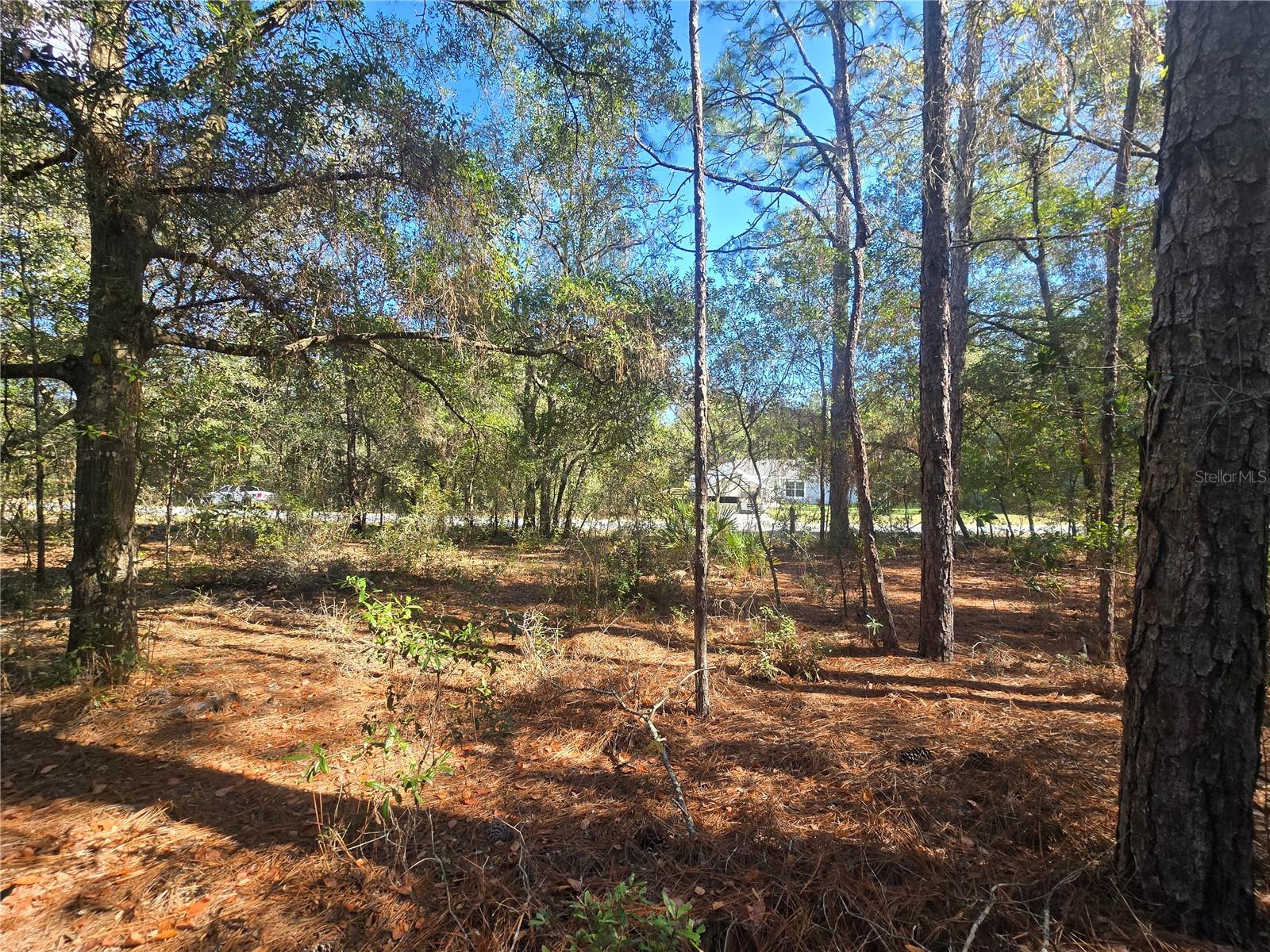 Image 8 of 9 For 11370 Ortega Point