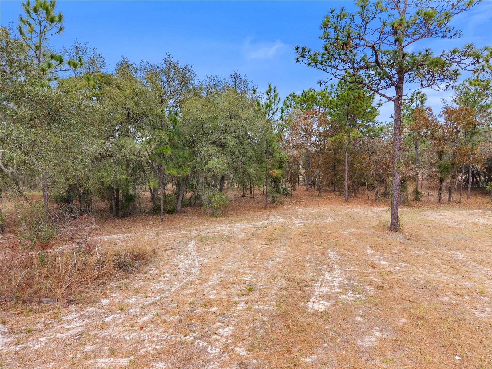 Image 17 of 55 For 12251 66th Place