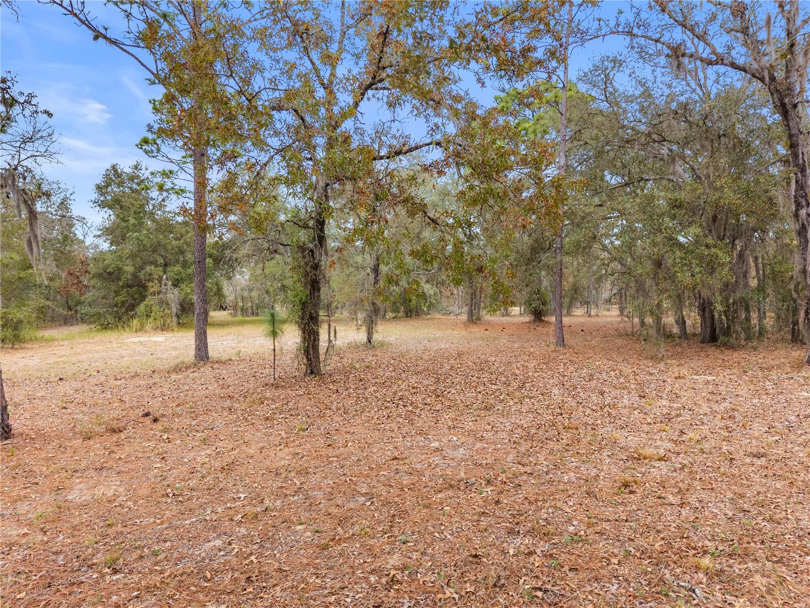 Image 18 of 55 For 12251 66th Place