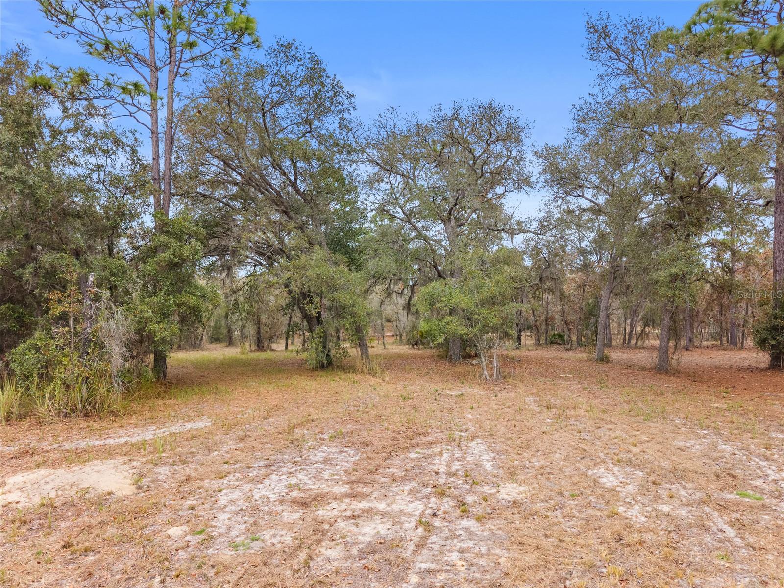 Image 19 of 55 For 12251 66th Place