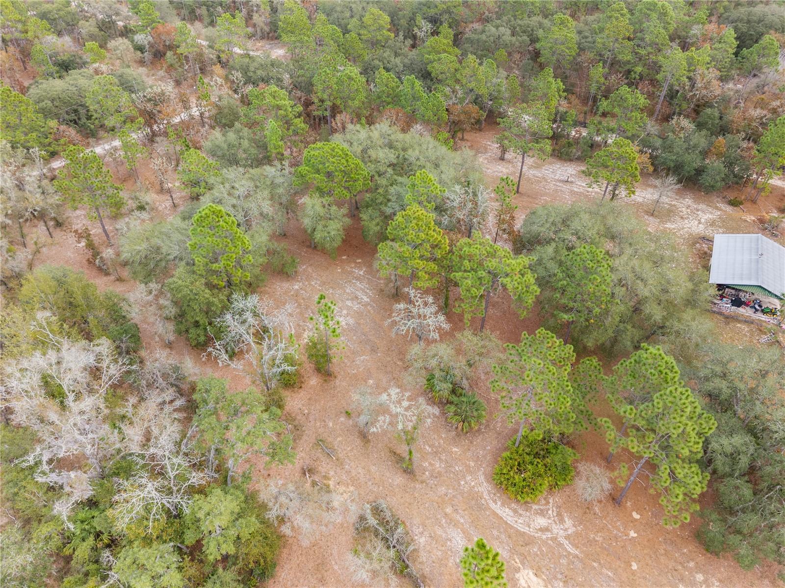 Image 21 of 55 For 12251 66th Place