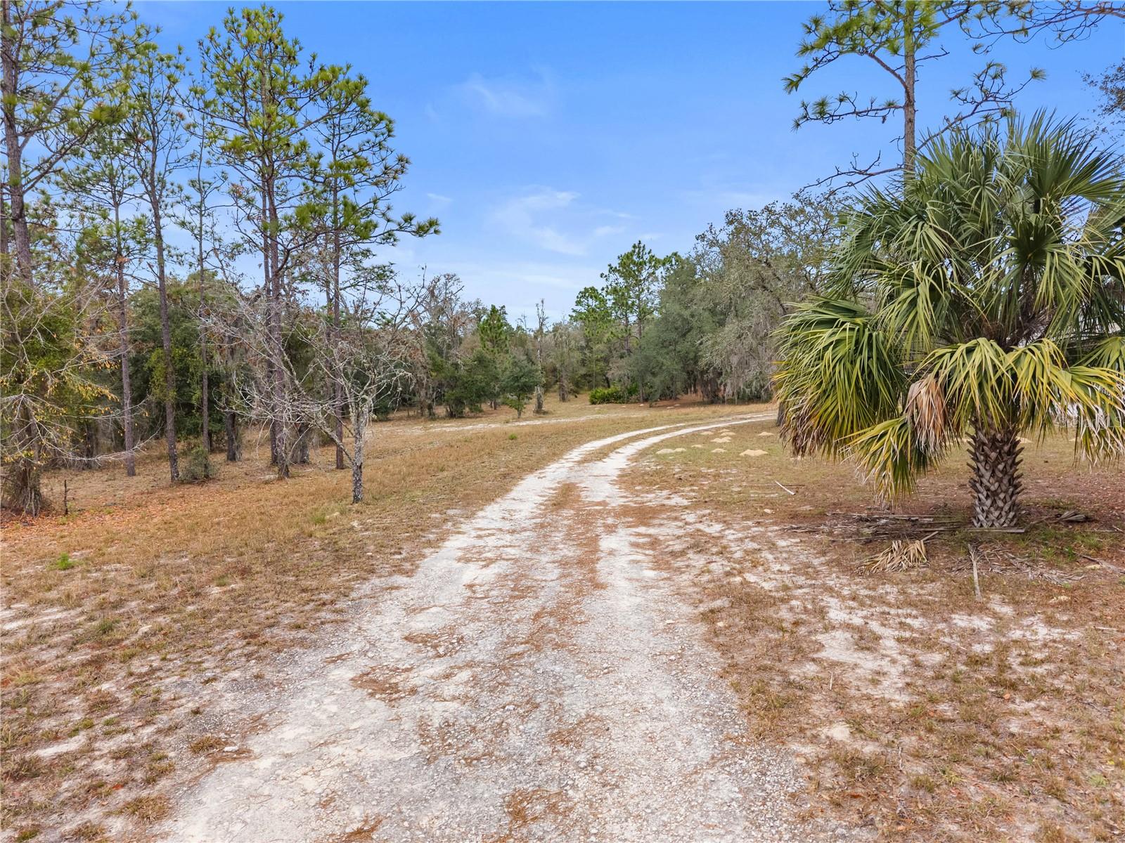 Image 5 of 55 For 12251 66th Place