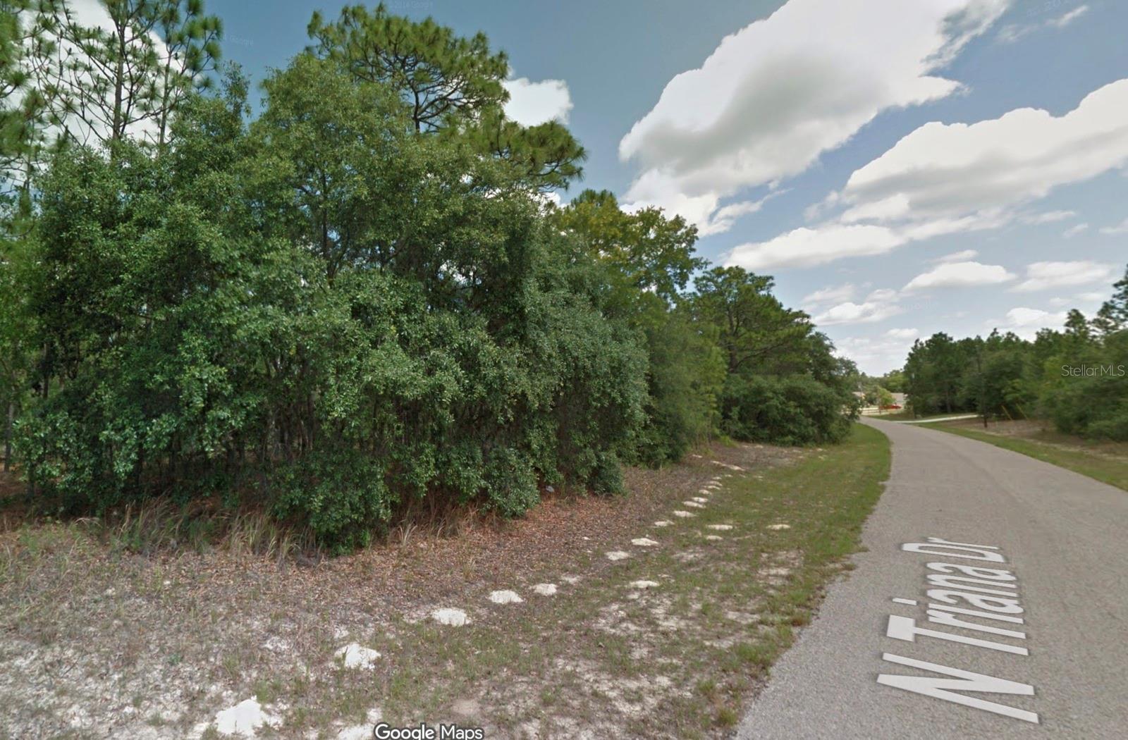 Image 10 of 10 For 8116 Triana Drive