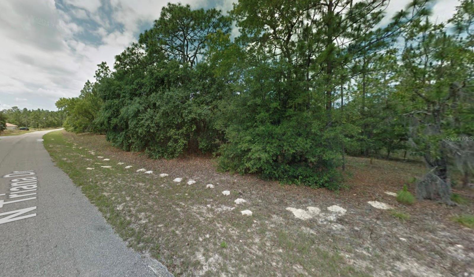 Image 2 of 10 For 8116 Triana Drive