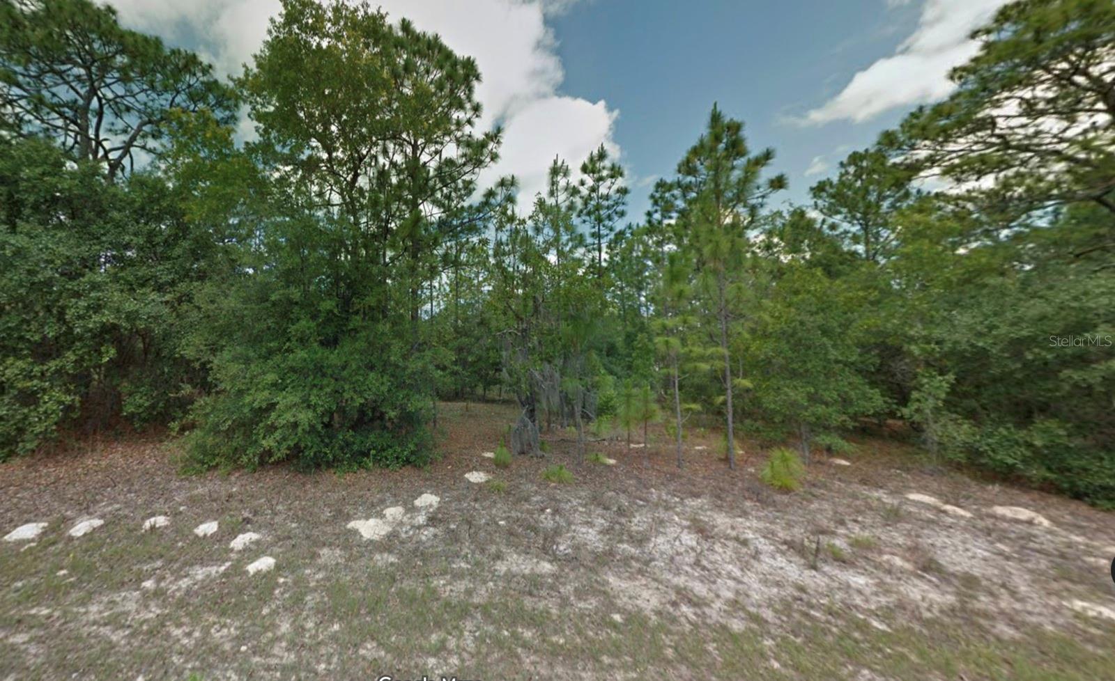 Image 5 of 10 For 8116 Triana Drive