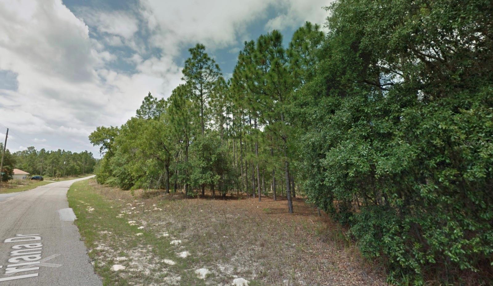 Image 6 of 10 For 8116 Triana Drive