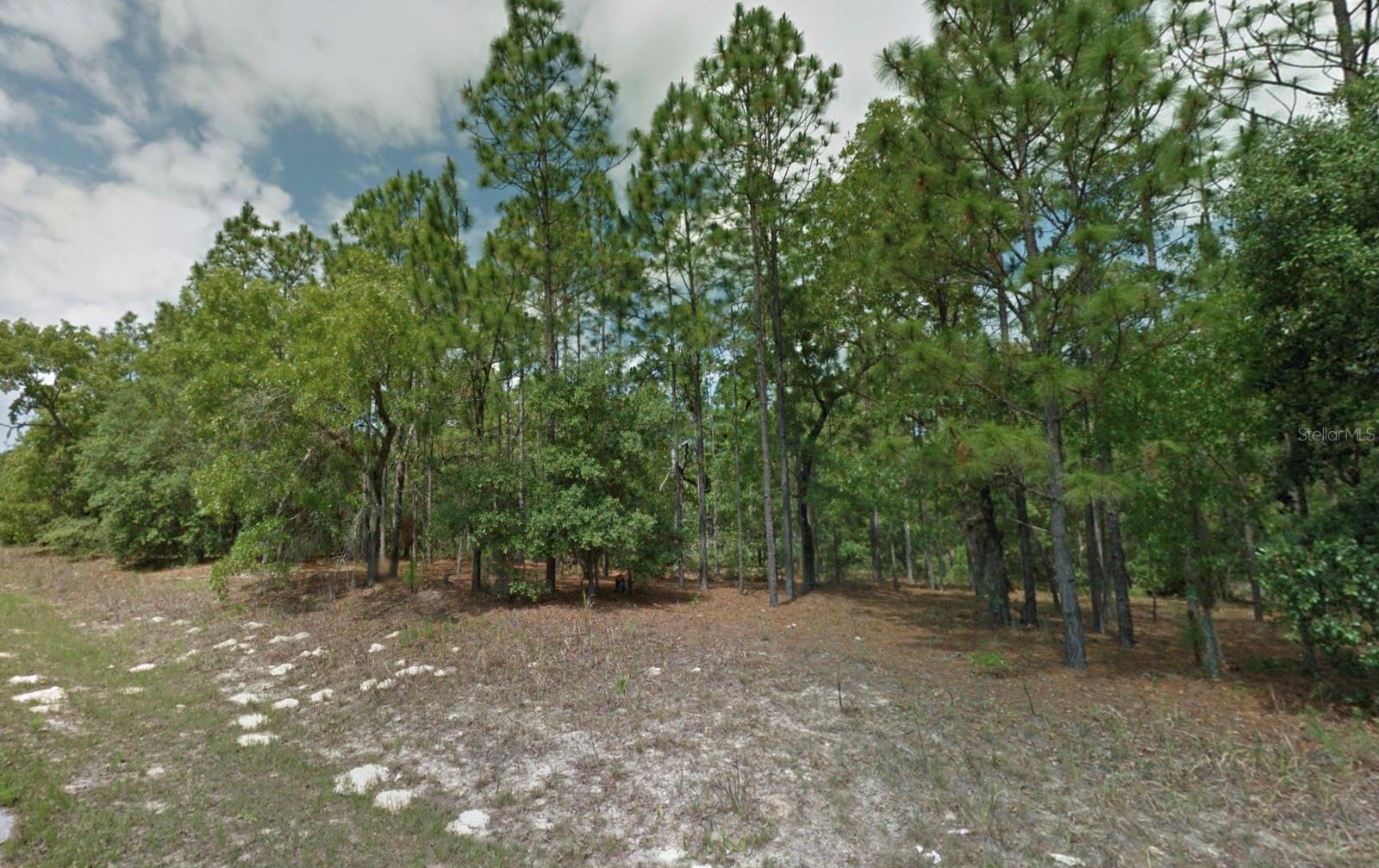 Image 7 of 10 For 8116 Triana Drive