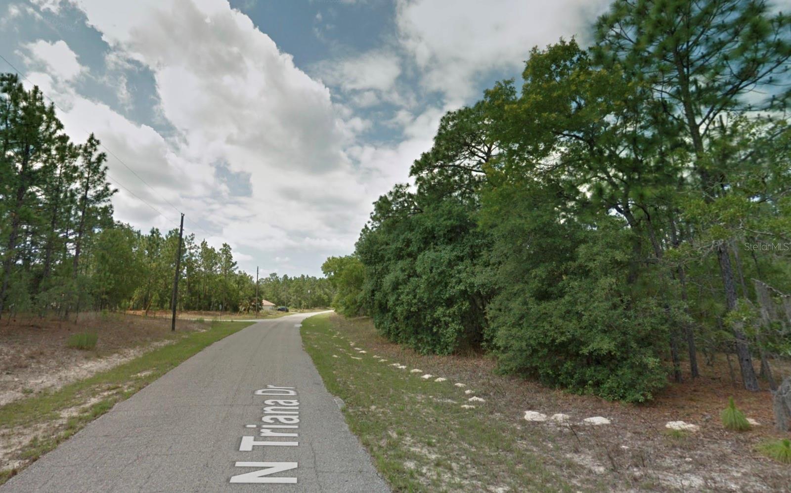 Image 8 of 10 For 8116 Triana Drive