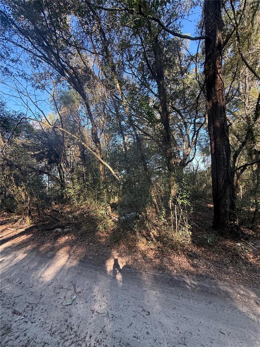 Image 2 of 5 For Sw 148th Ct 32nd Place