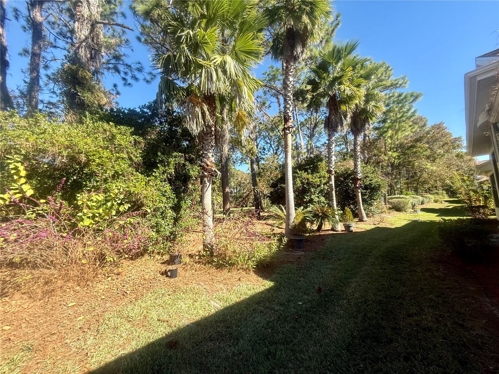 Image 49 of 66 For 11621 72nd Circle