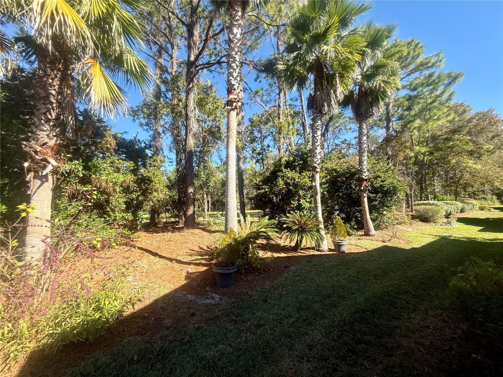 Image 50 of 66 For 11621 72nd Circle