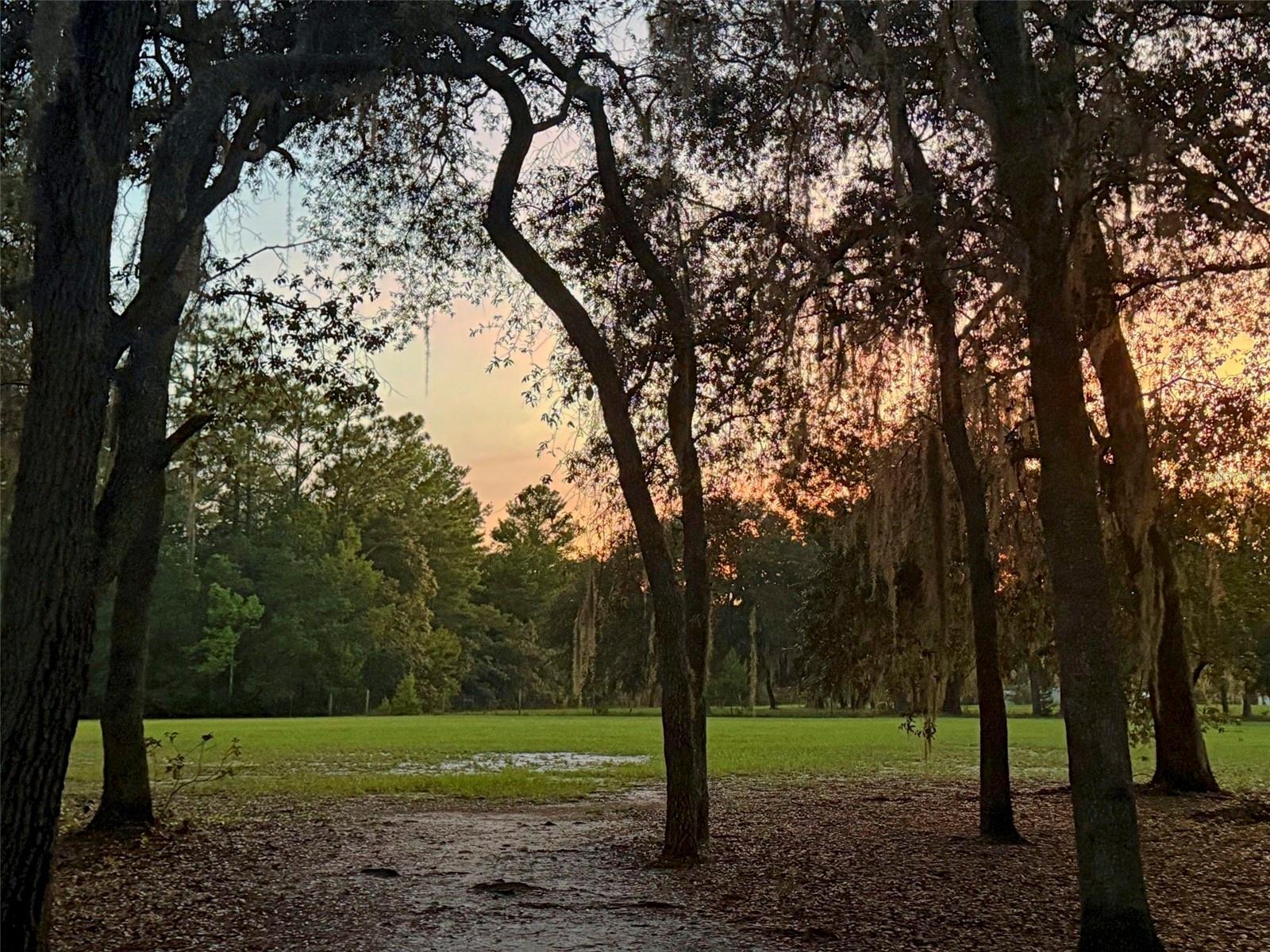 Image 28 of 54 For 11064 212th Lane