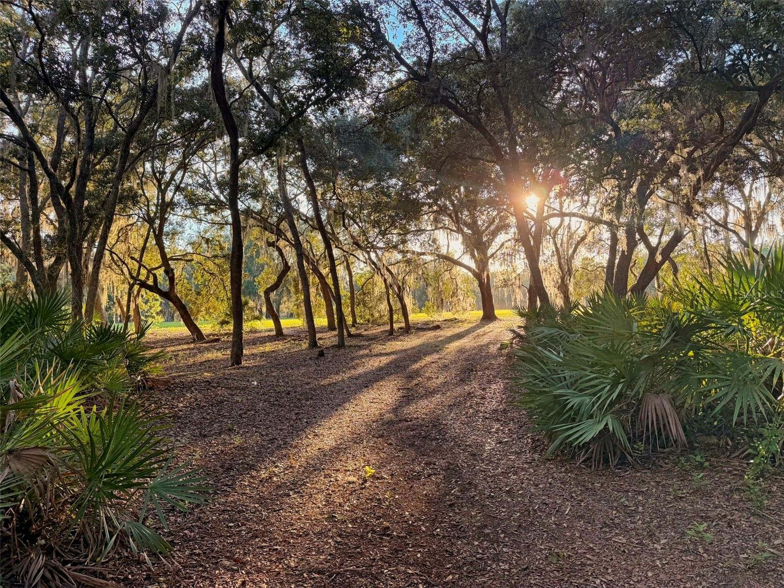 Image 3 of 54 For 11064 212th Lane