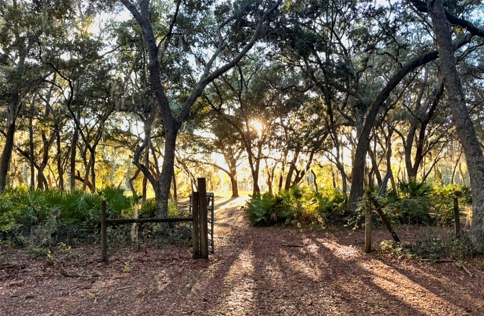 Image 48 of 54 For 11064 212th Lane