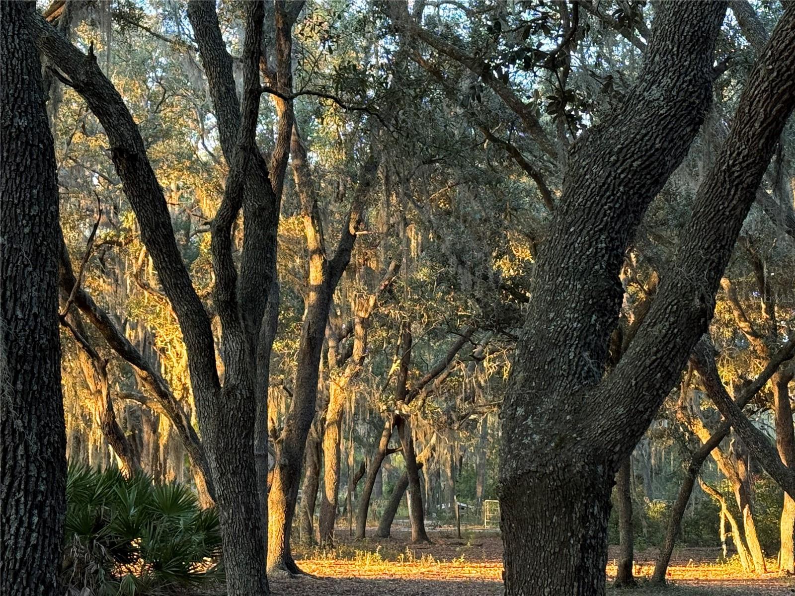 Image 51 of 54 For 11064 212th Lane