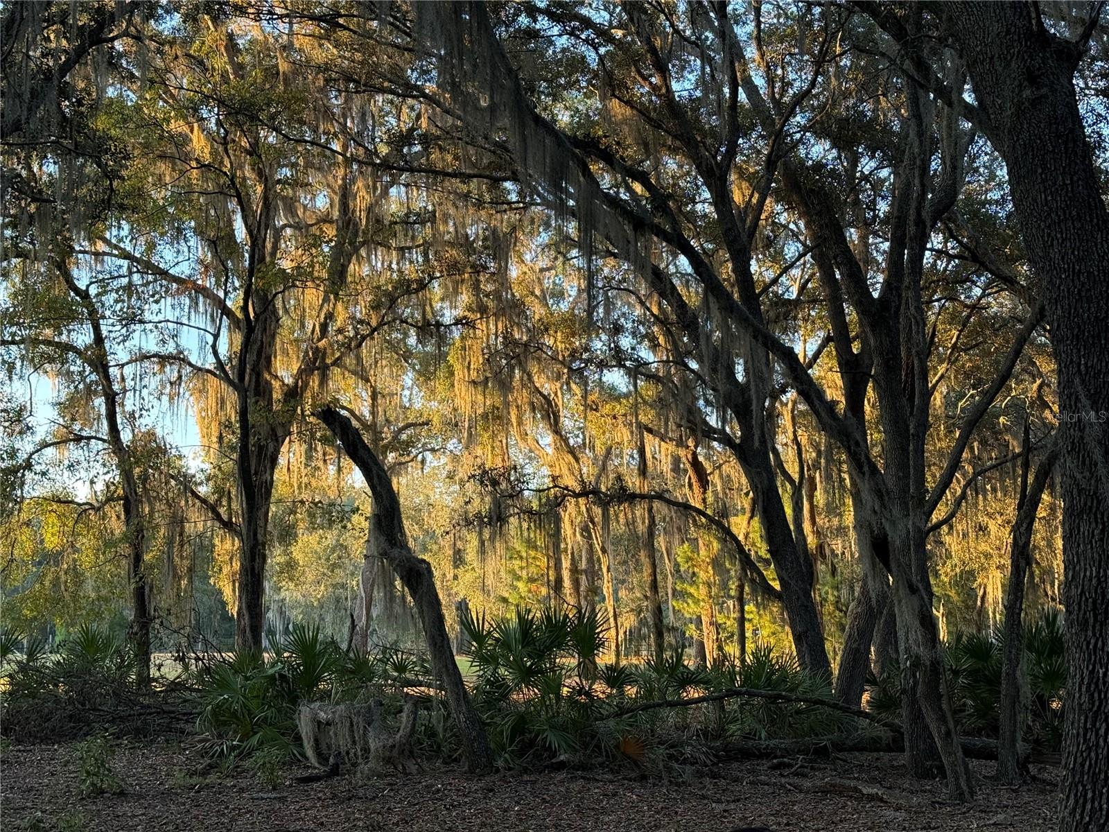 Image 52 of 54 For 11064 212th Lane