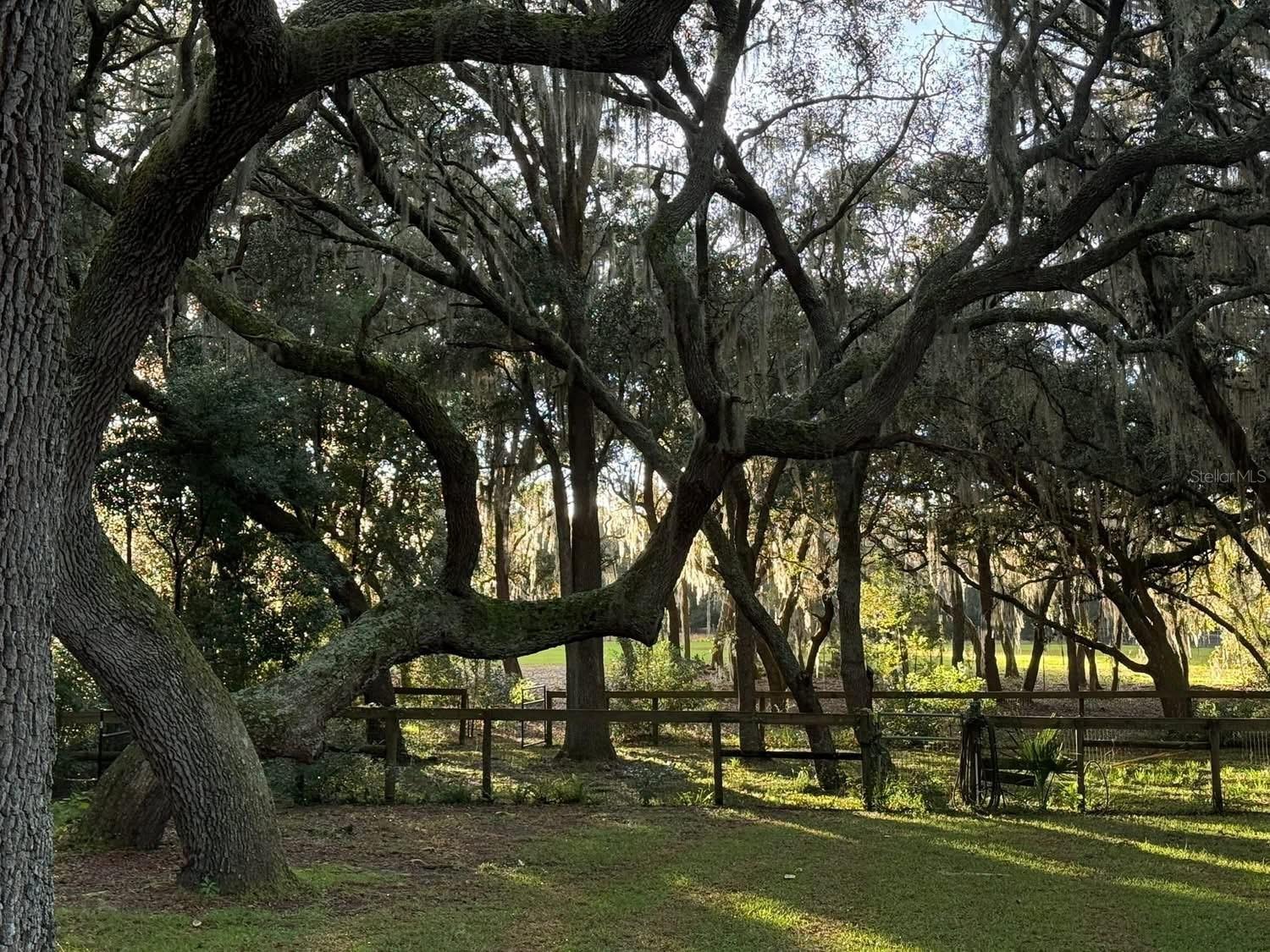 Image 53 of 54 For 11064 212th Lane