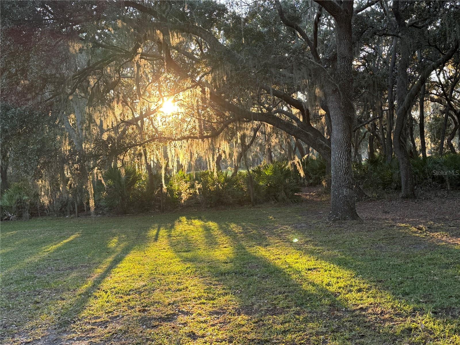 Image 54 of 54 For 11064 212th Lane