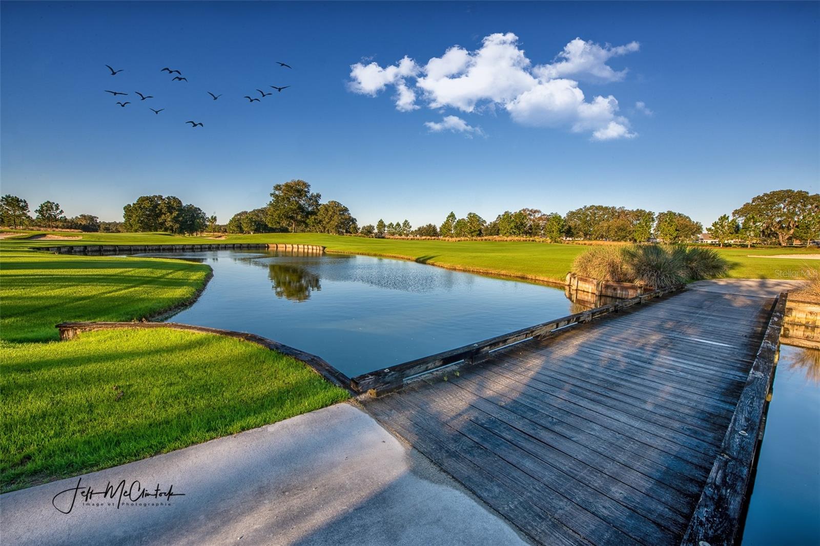 Listing photo id 41 for 3508 55th Court