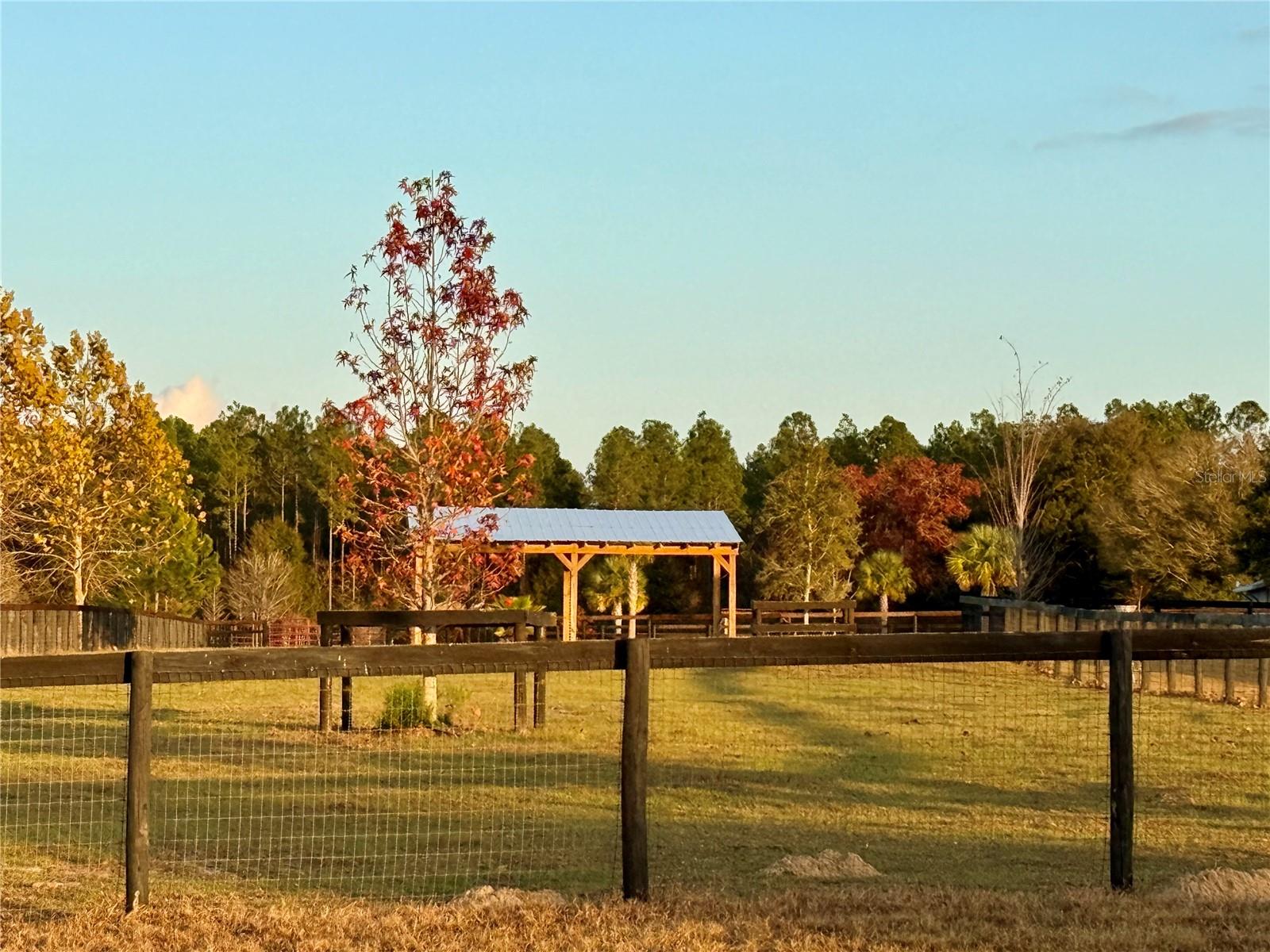 Image 57 of 59 For 3650 165th Avenue