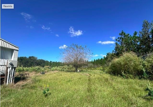 Image 4 of 15 For 565 Daisy Road