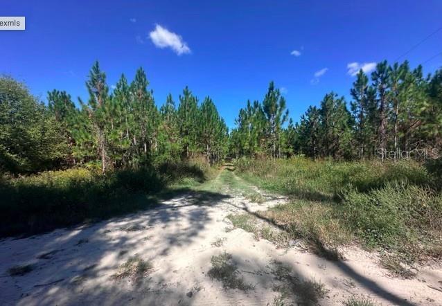 Image 5 of 15 For 565 Daisy Road