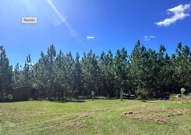 Image 6 of 15 For 565 Daisy Road