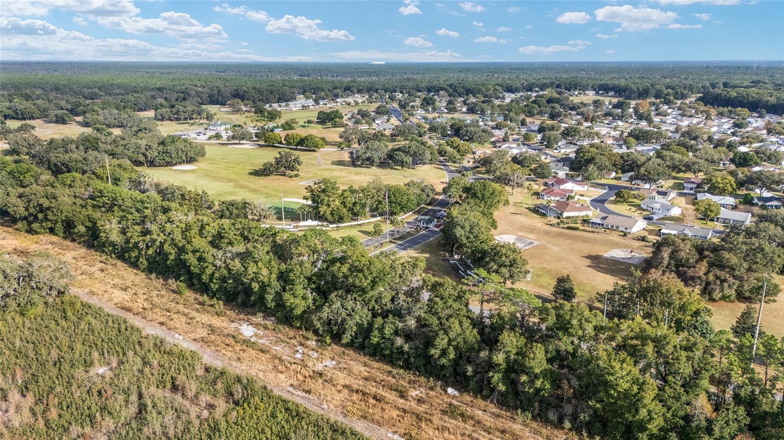 Image 82 of 85 For 13798 111th Avenue