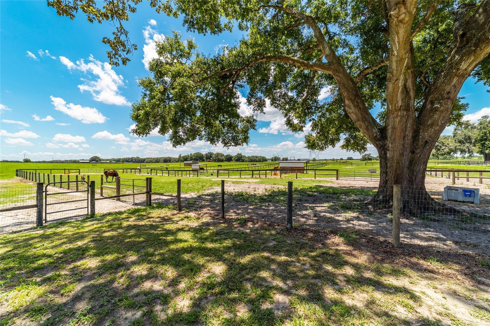 Image 36 of 95 For 1177 102nd Boulevard