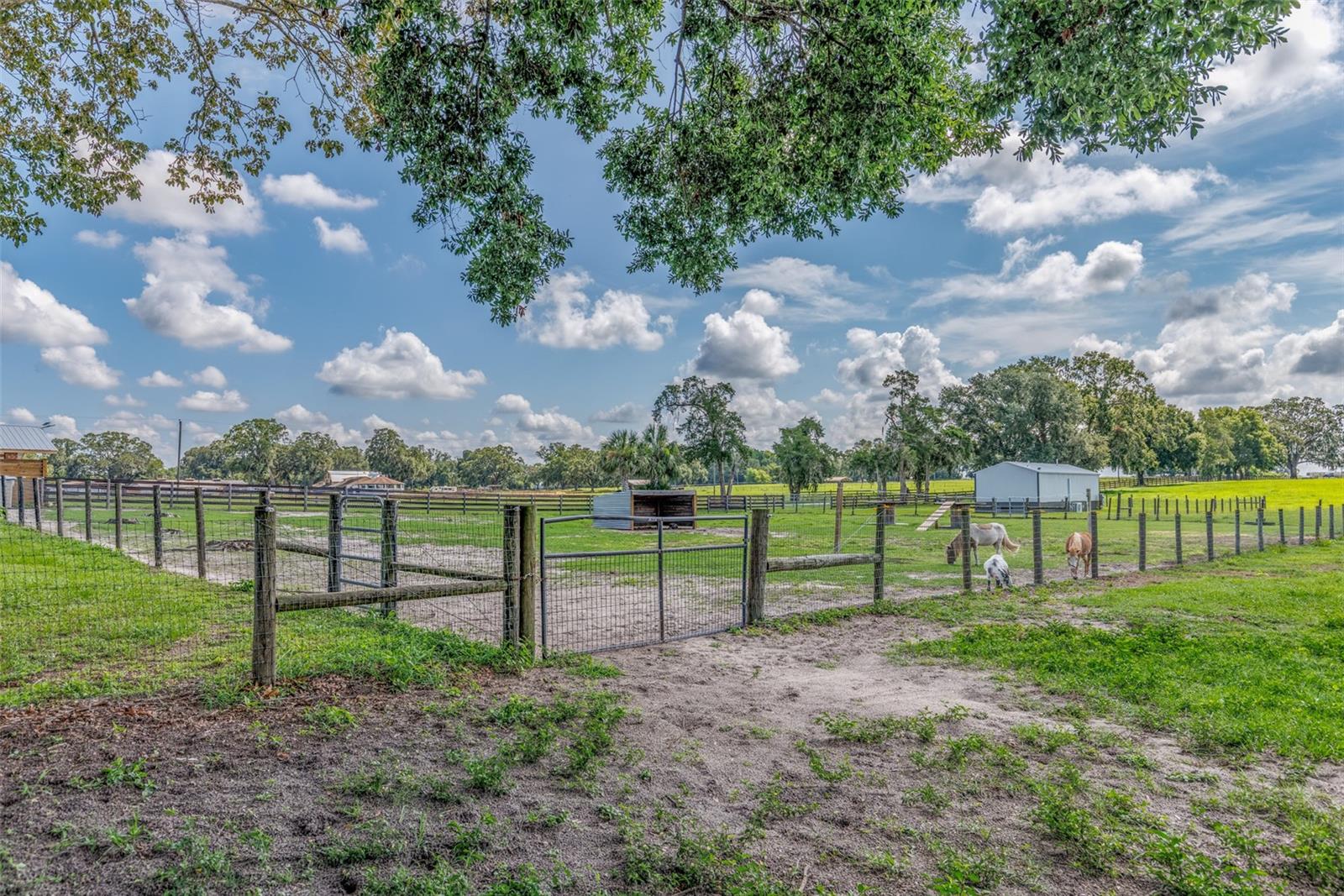 Image 37 of 95 For 1177 102nd Boulevard