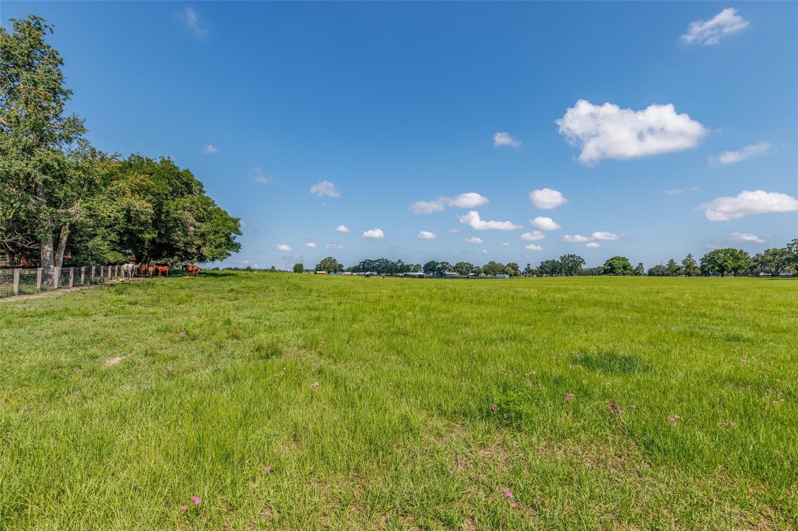 Image 87 of 95 For 1177 102nd Boulevard