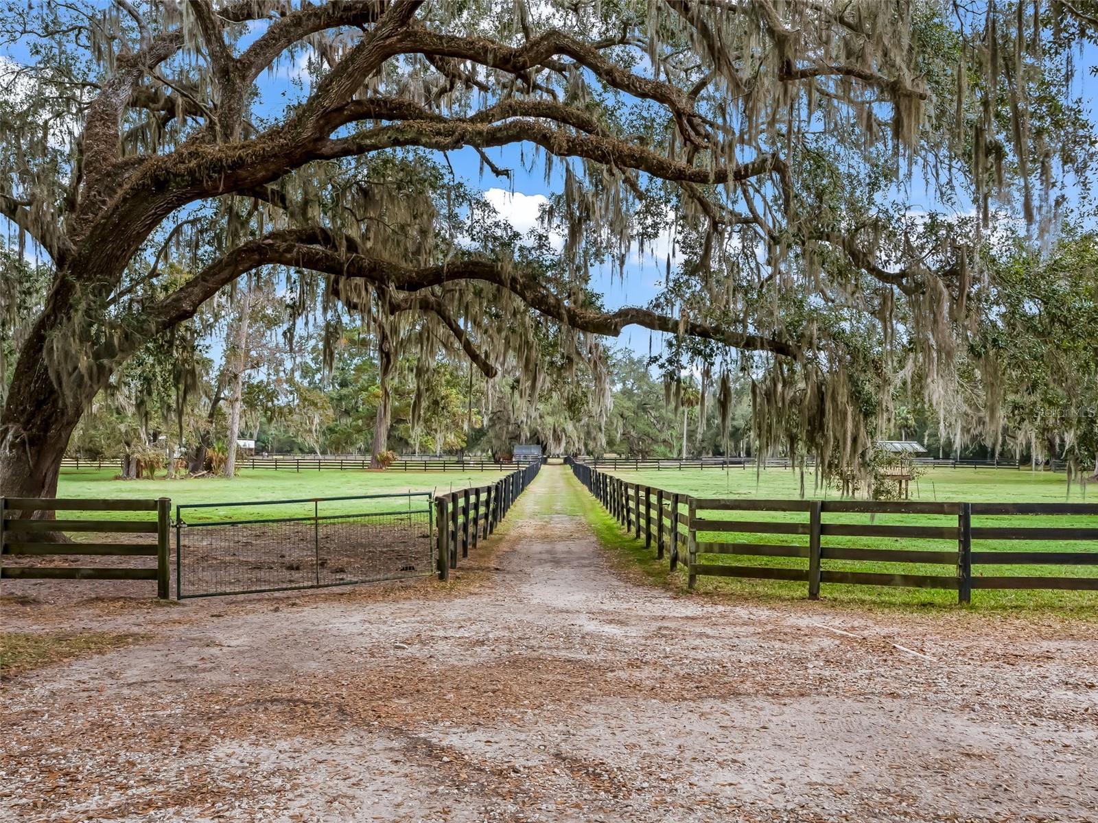 Image 44 of 50 For 11553 Highway 315