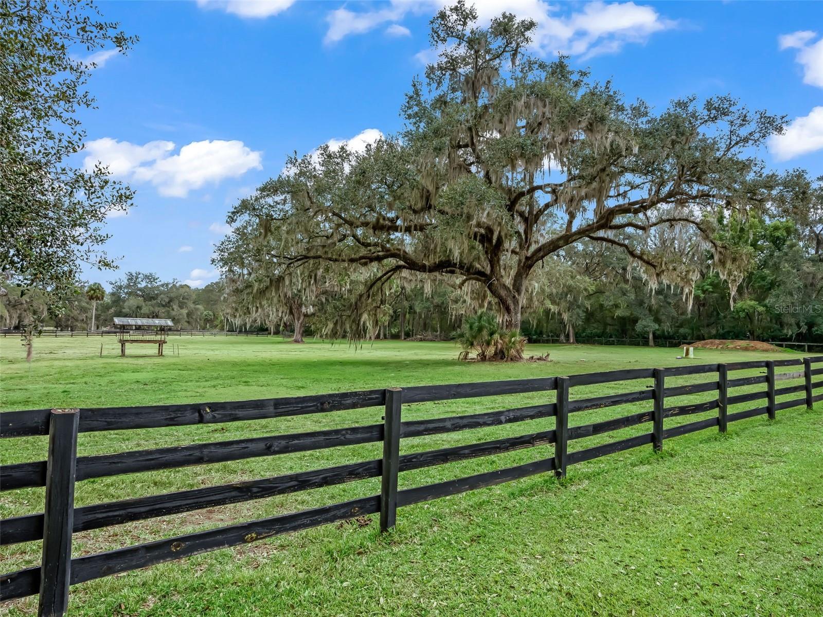 Image 45 of 50 For 11553 Highway 315