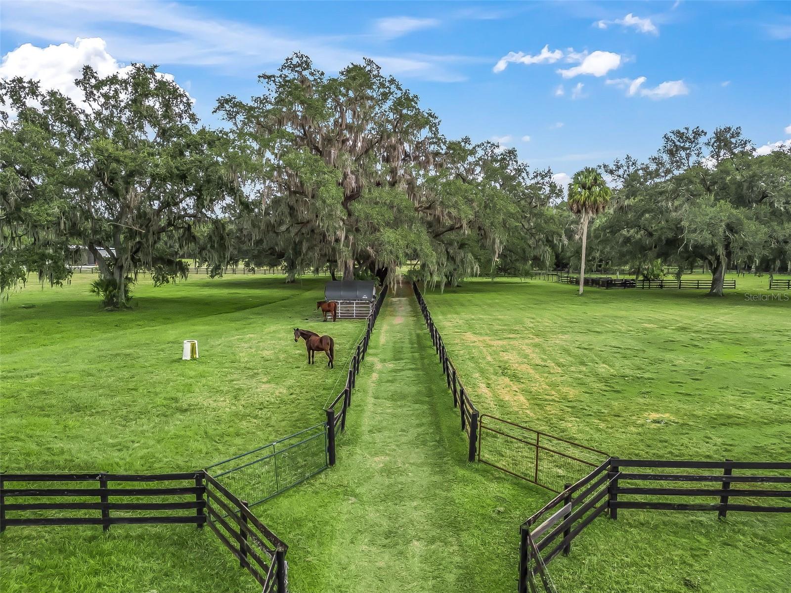 Image 47 of 50 For 11553 Highway 315