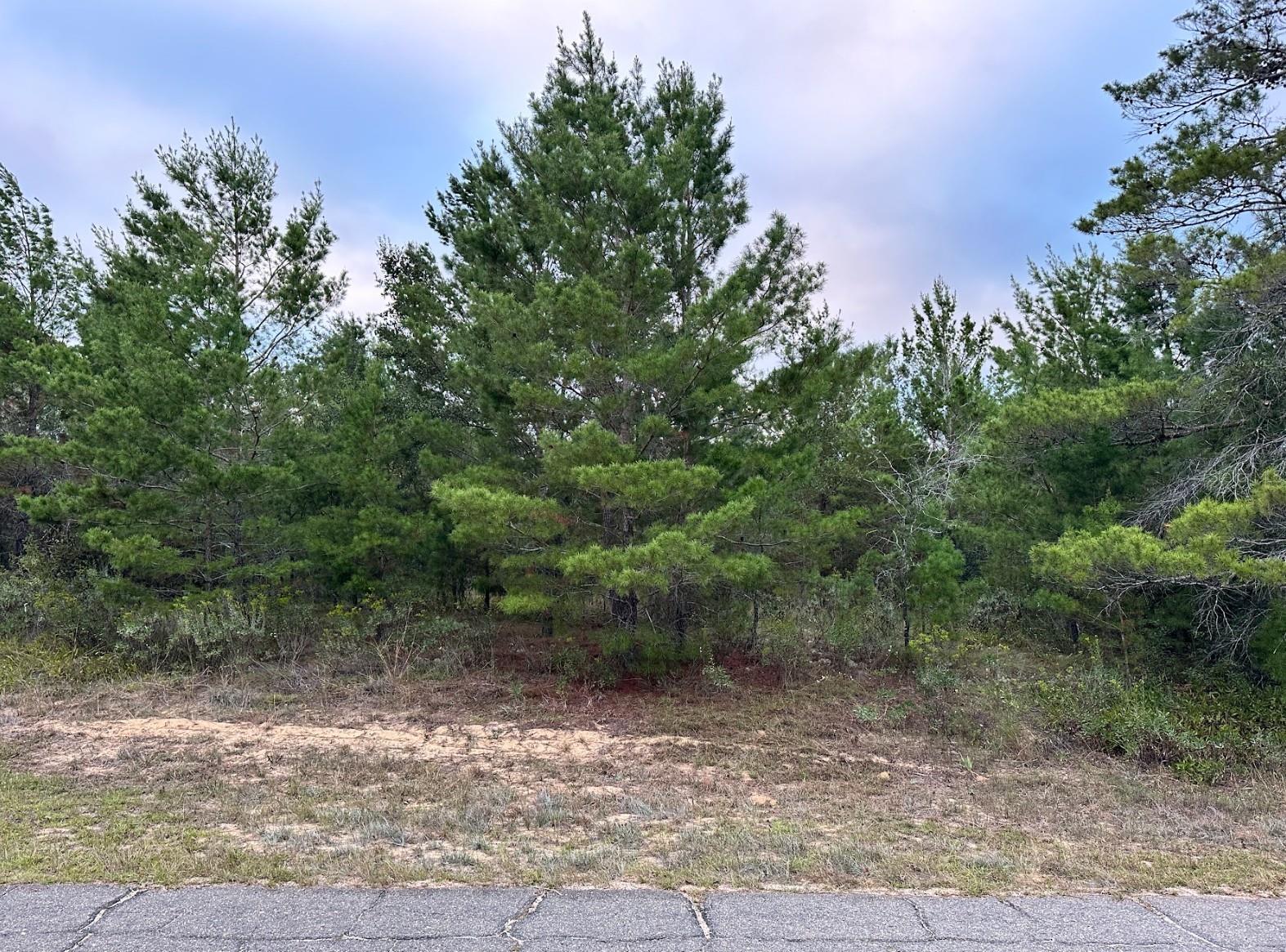 Details for Colmart Drive, CHIPLEY, FL 32428