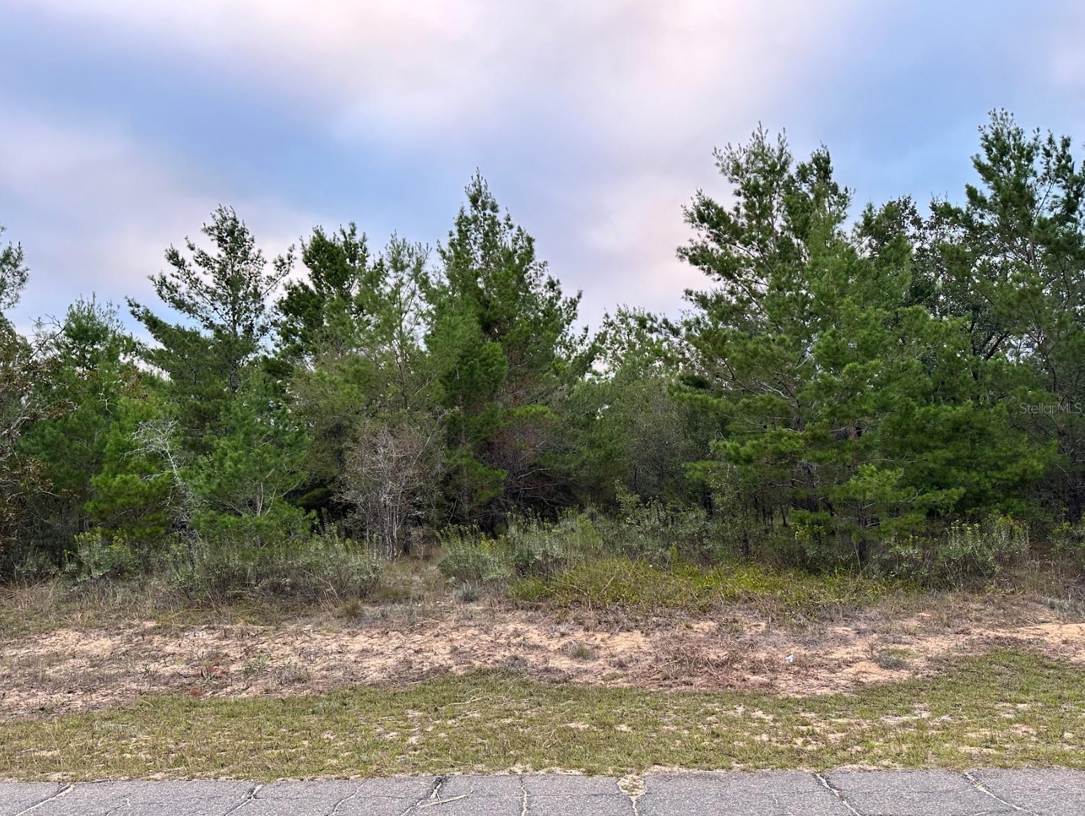 Image 5 of 5 For Colmart Drive