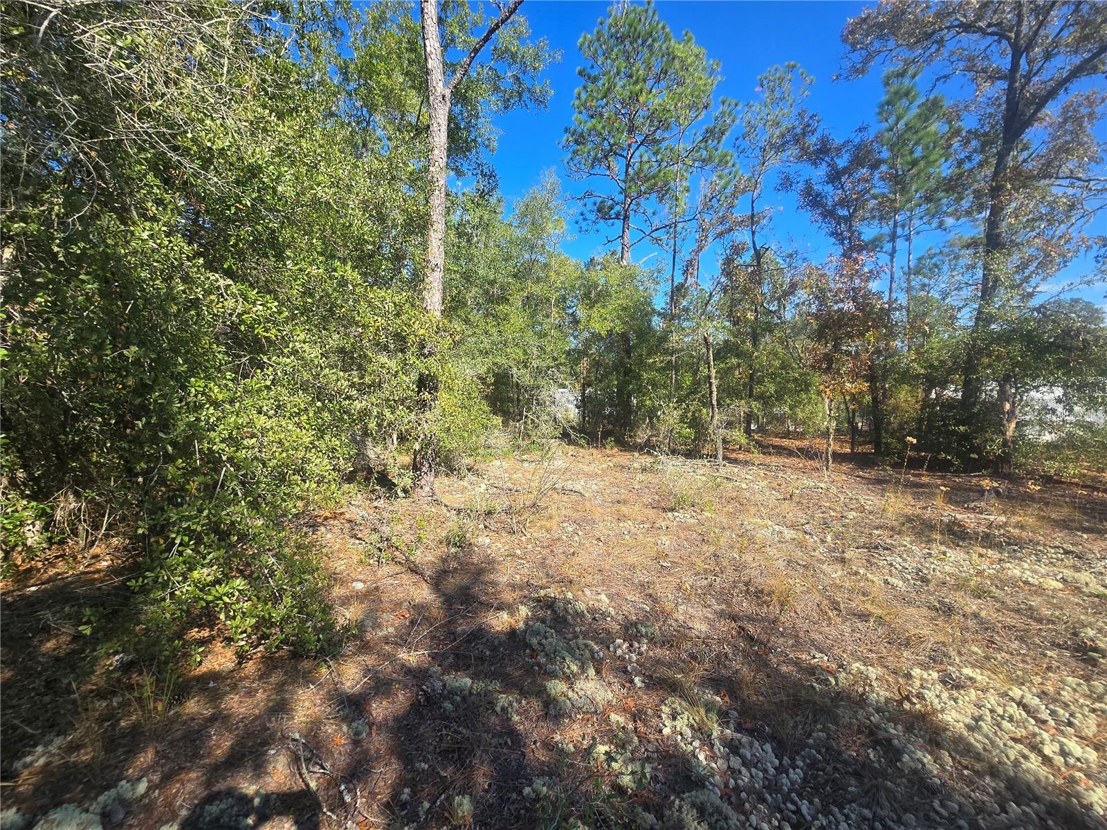 Image 10 of 11 For 11136 Vesta Point