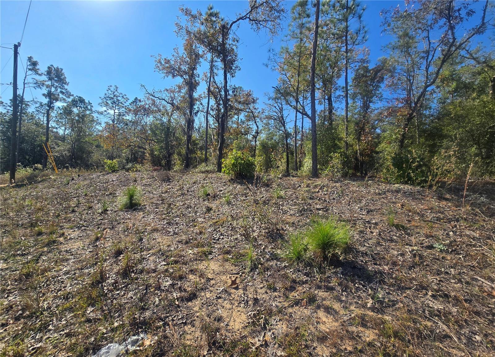 Image 4 of 11 For 11136 Vesta Point