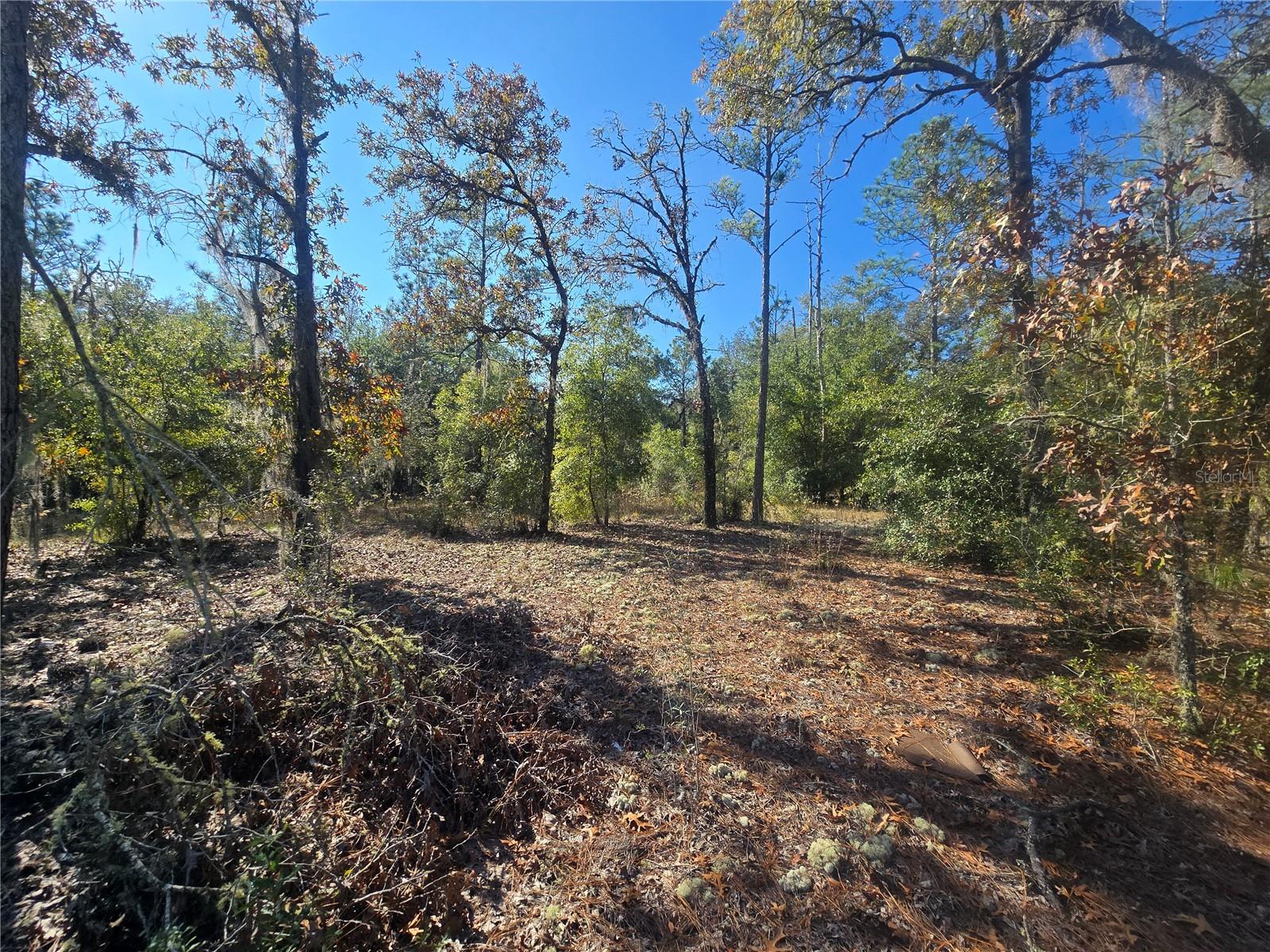 Image 5 of 11 For 11136 Vesta Point