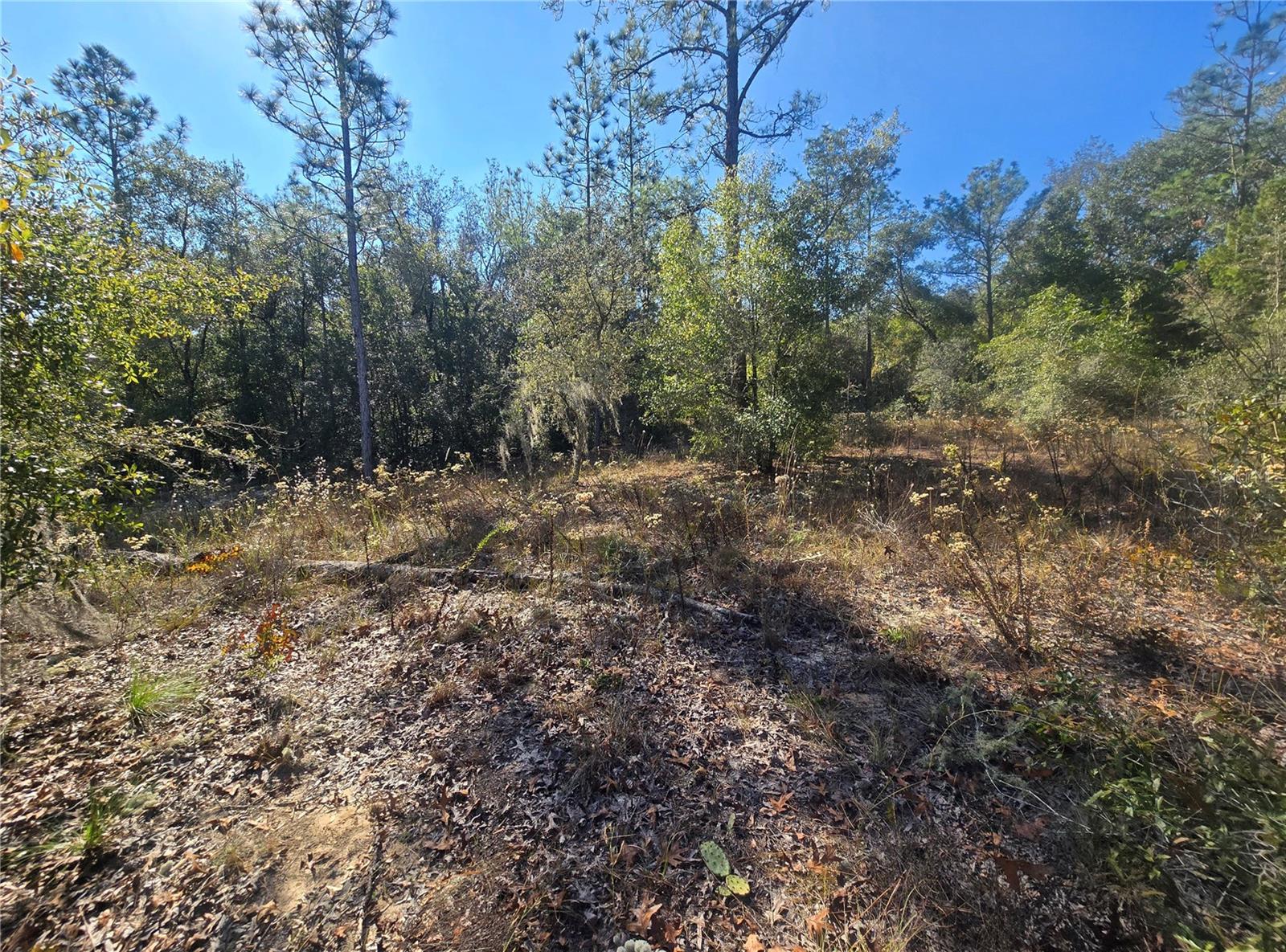 Image 6 of 11 For 11136 Vesta Point