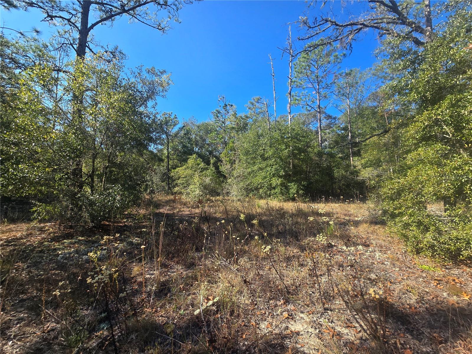 Image 7 of 11 For 11136 Vesta Point