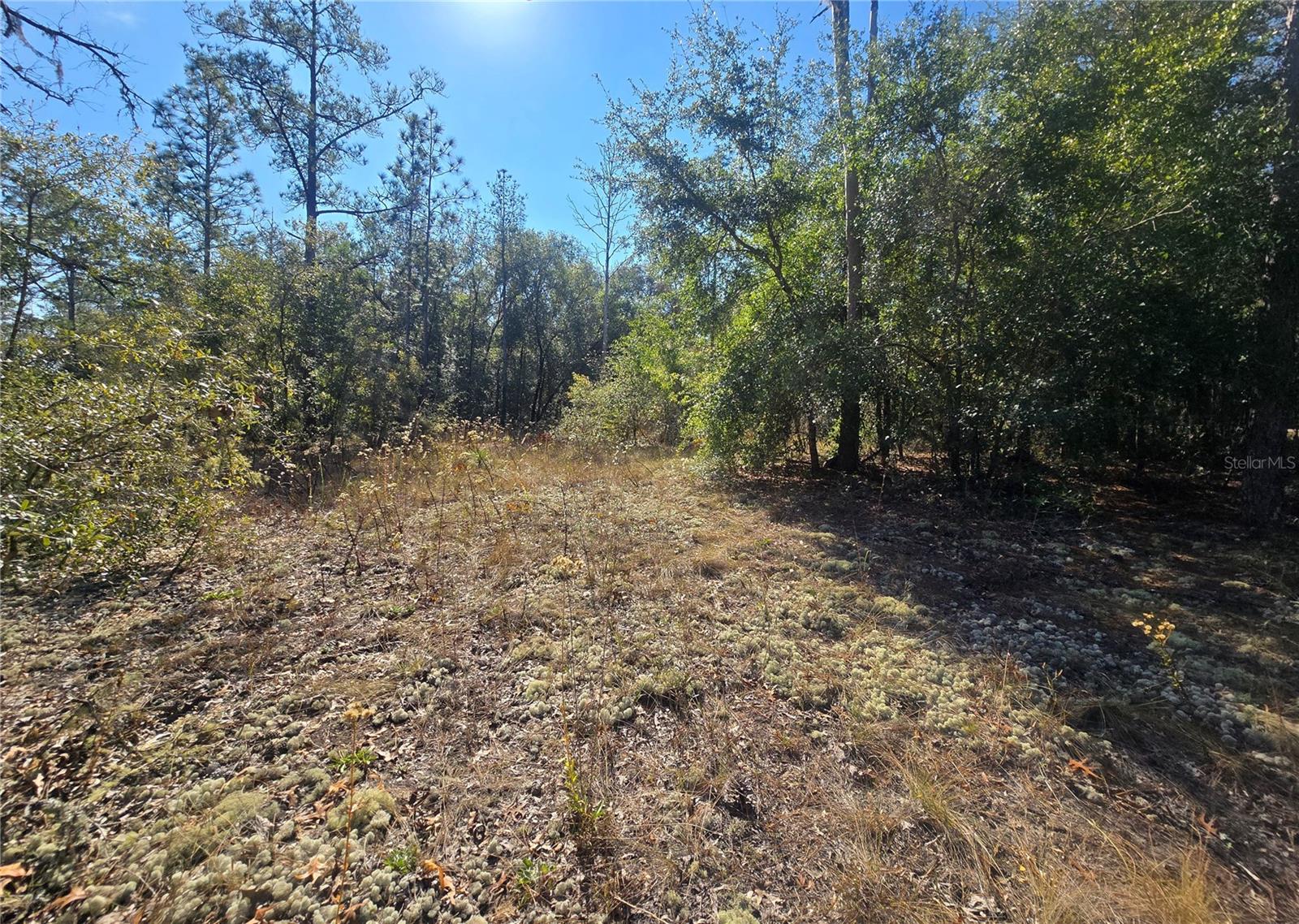 Image 8 of 11 For 11136 Vesta Point