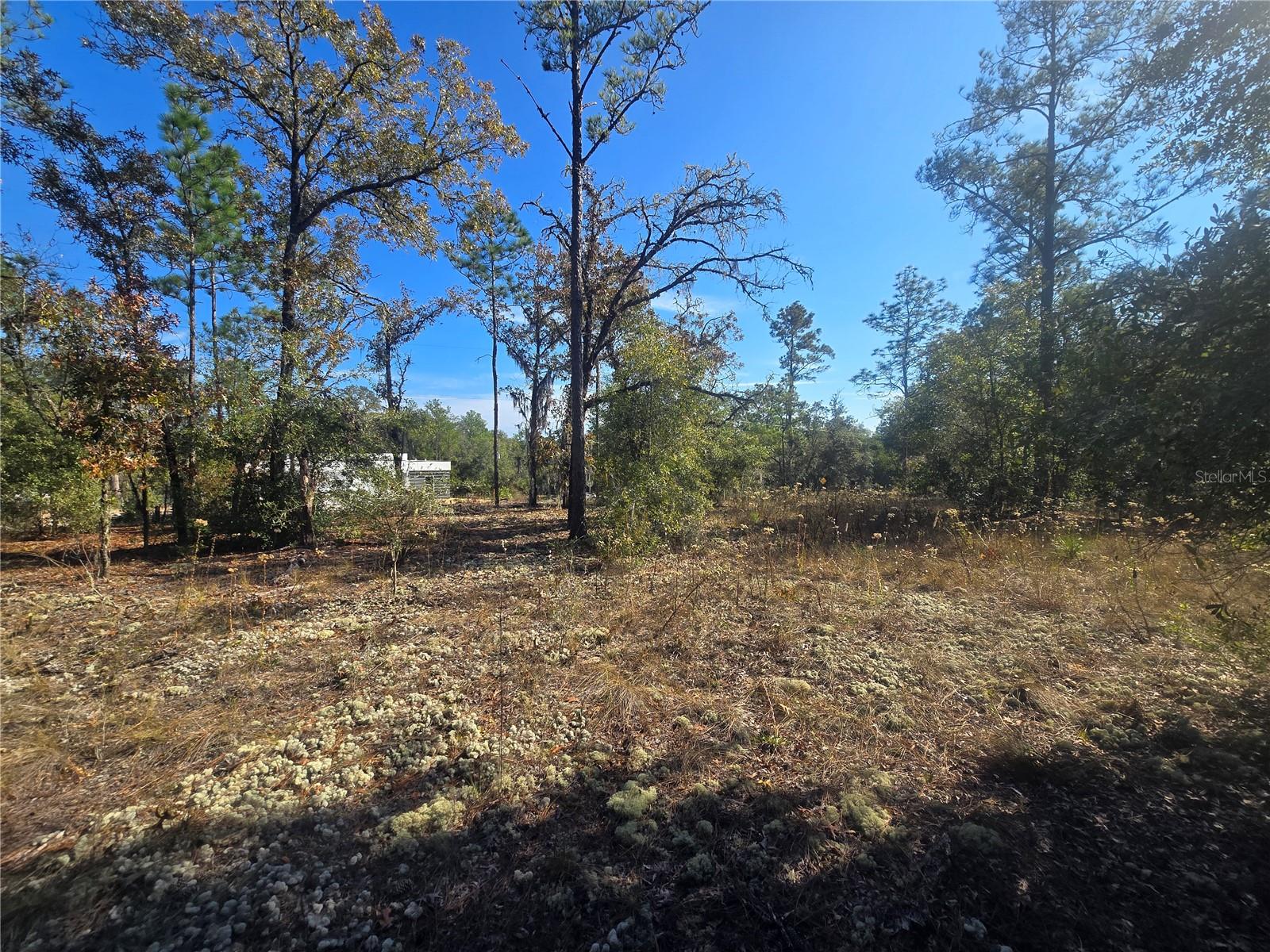 Image 9 of 11 For 11136 Vesta Point