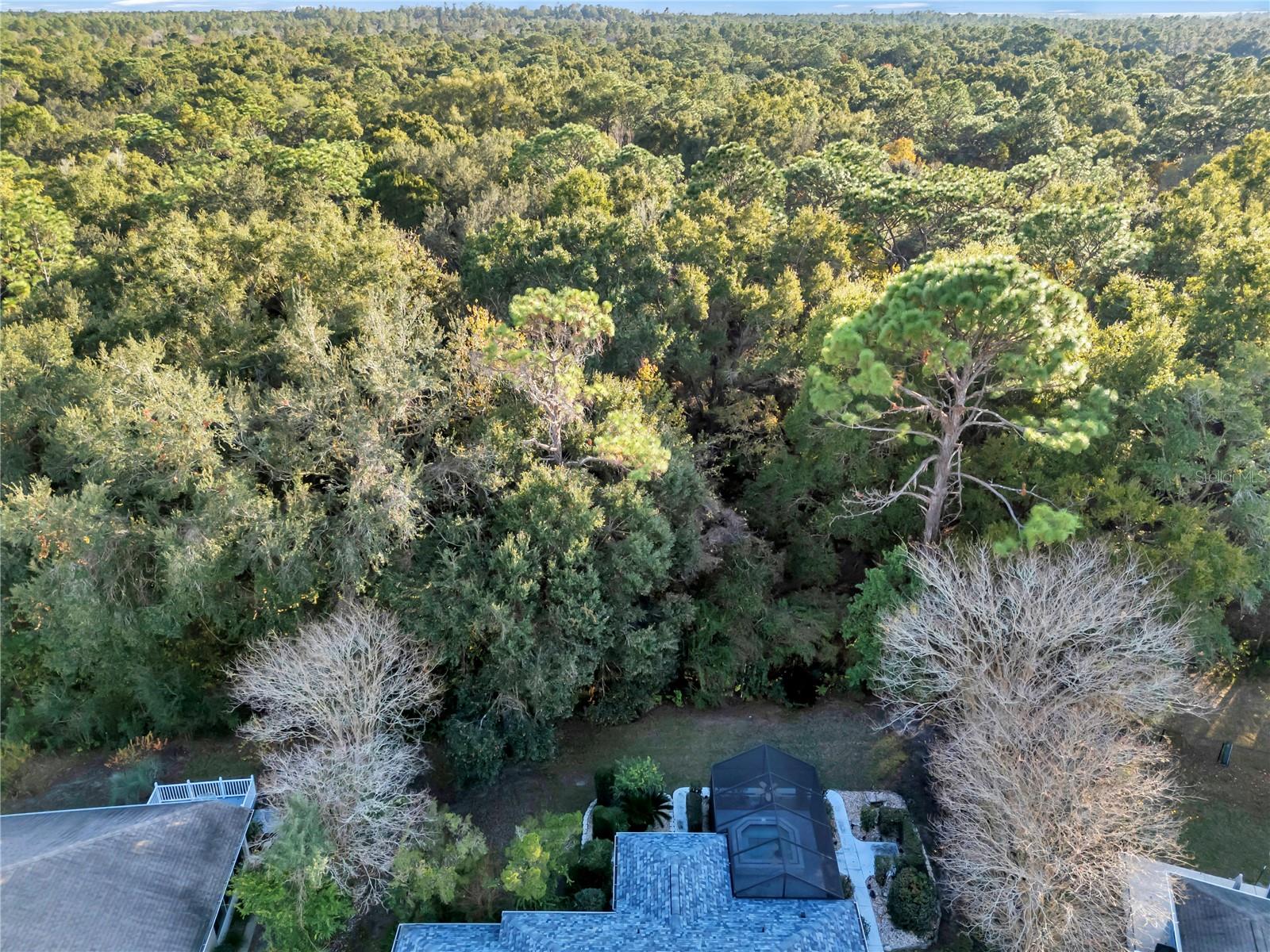 Image 53 of 59 For 11558 74th Court