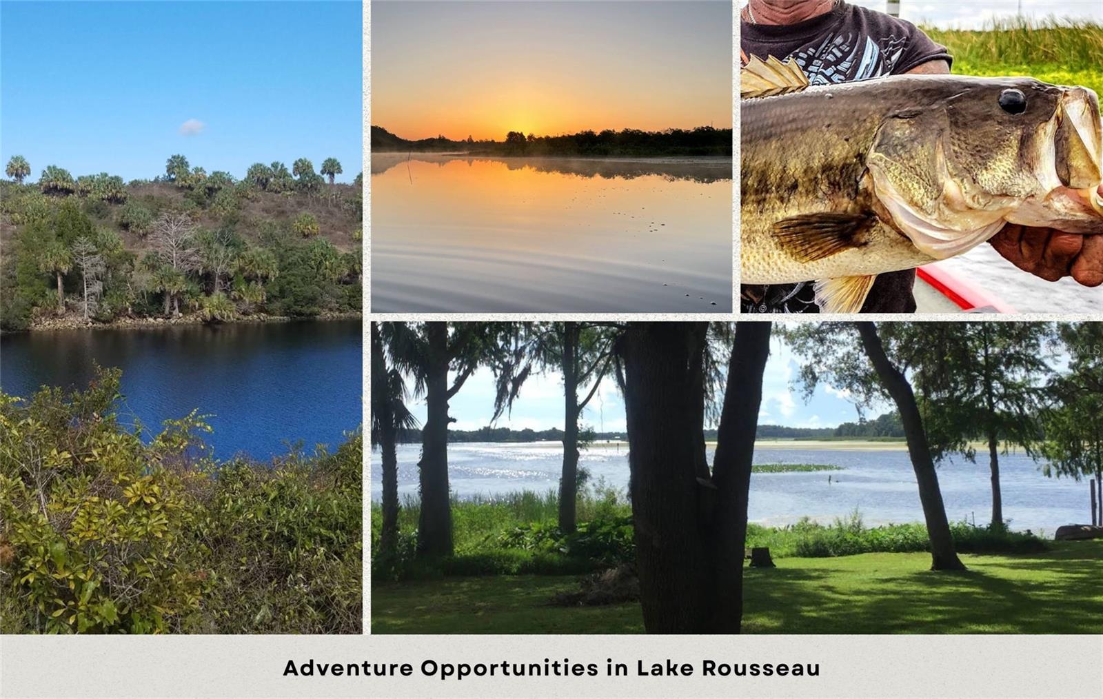 Image 14 of 15 For 12045 Belvedere Street