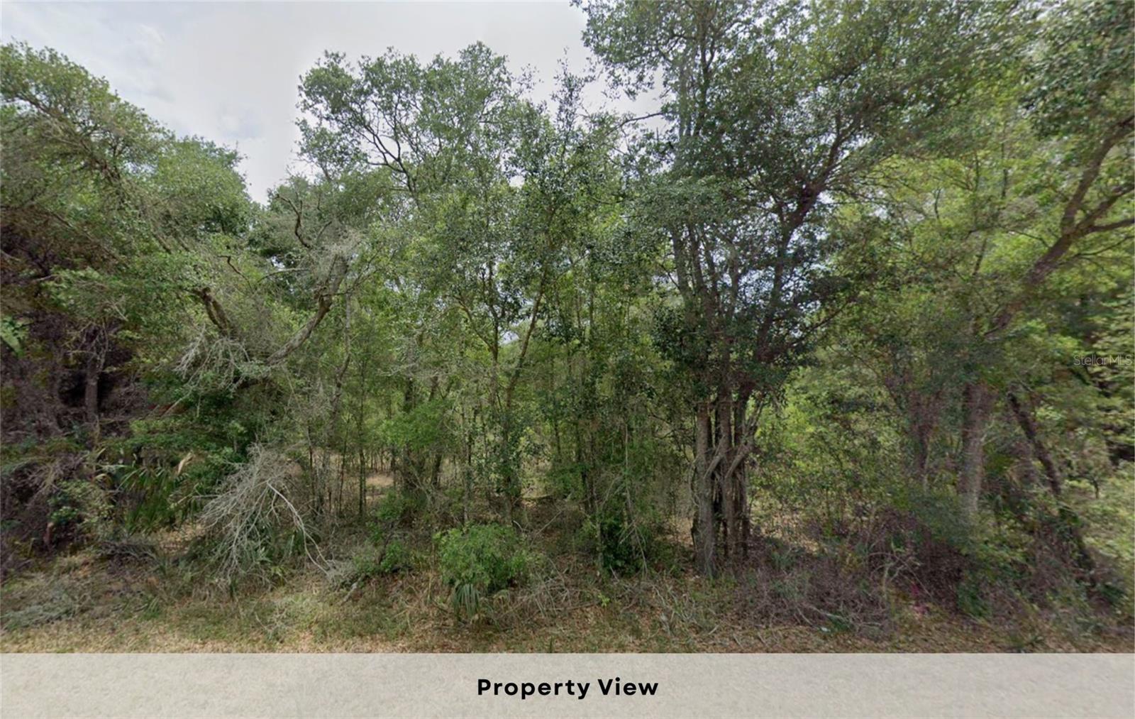 Image 7 of 14 For 12504 Baltic Ivy Street