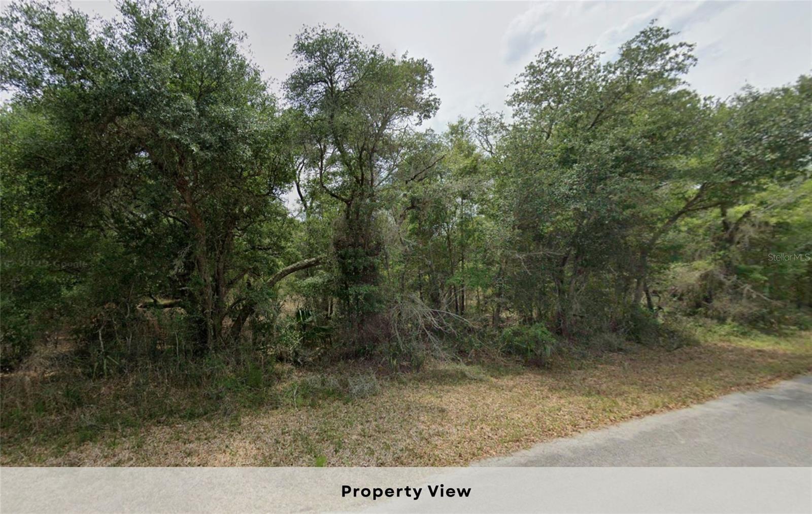 Image 8 of 14 For 12504 Baltic Ivy Street