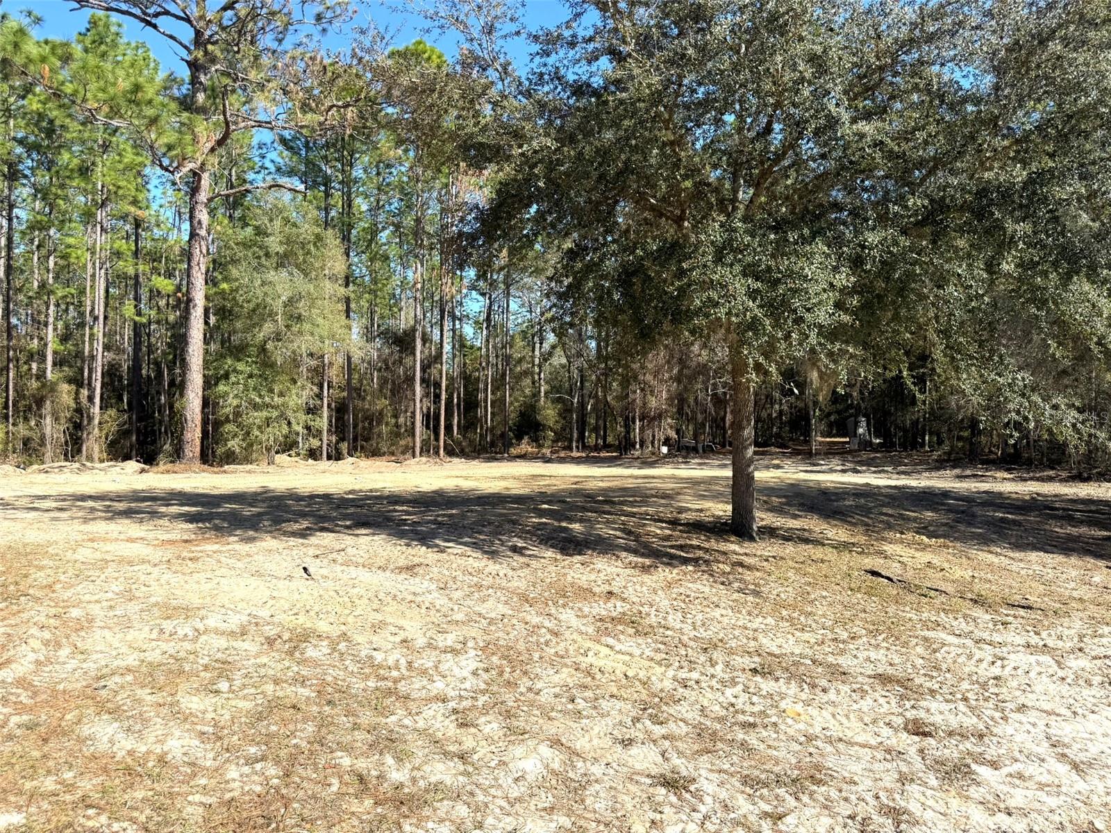 Image 5 of 30 For 1180 158th Avenue