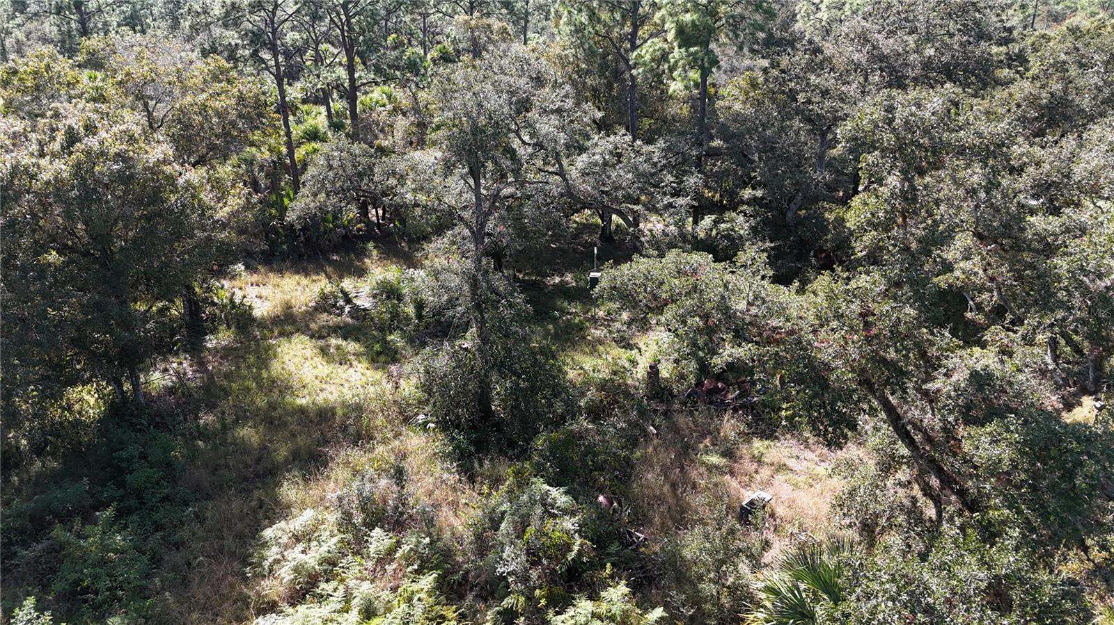 Image 11 of 49 For N-a